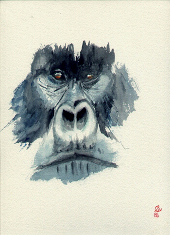 350x482 Silver Gorilla Face Watercolor Ramon Castellanos - Gorilla Watercolor