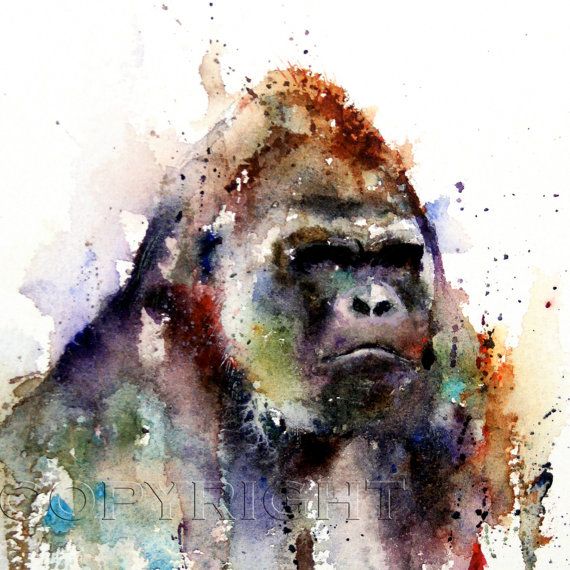 570x570 Gorilla Watercolor Print, Gorilla Art, Gorilla Painting, By Dean - Gorilla Watercolor