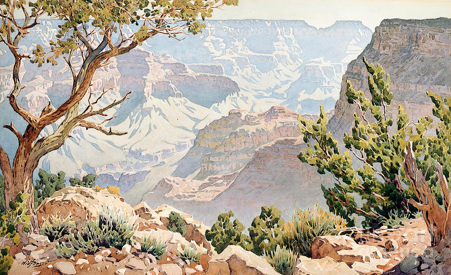 900x549 Grand Canyon Painting By Gunnar Widforss - Grand Canyon Watercolor