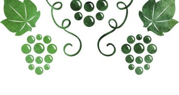 367x195 Watercolor Grape Vine Vector Free Vector Art, Images, Graphics - Grape Vine Watercolor