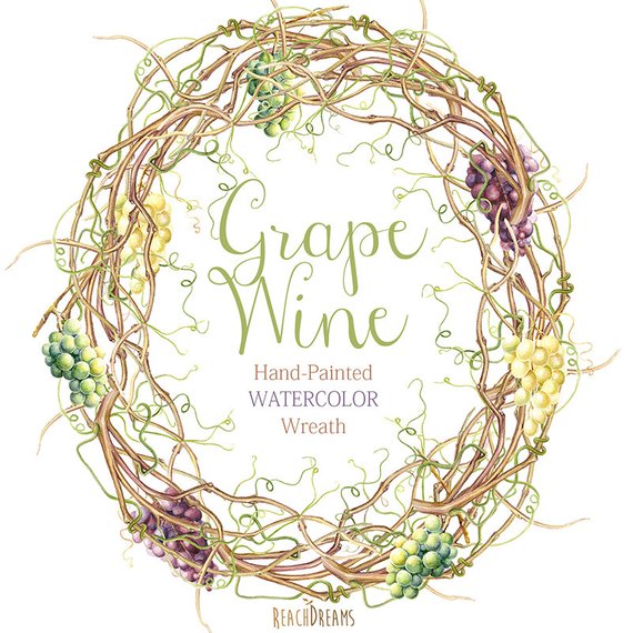 570x570 Watercolor Grapes Vine Wreath Diy Png Invite Wedding Etsy - Grape Vine Watercolor