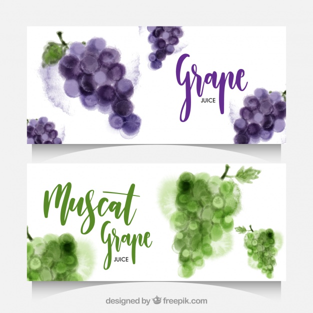 626x626 Watercolor Banners Of Grapes Vector Free Download - Grape Vine Watercolor