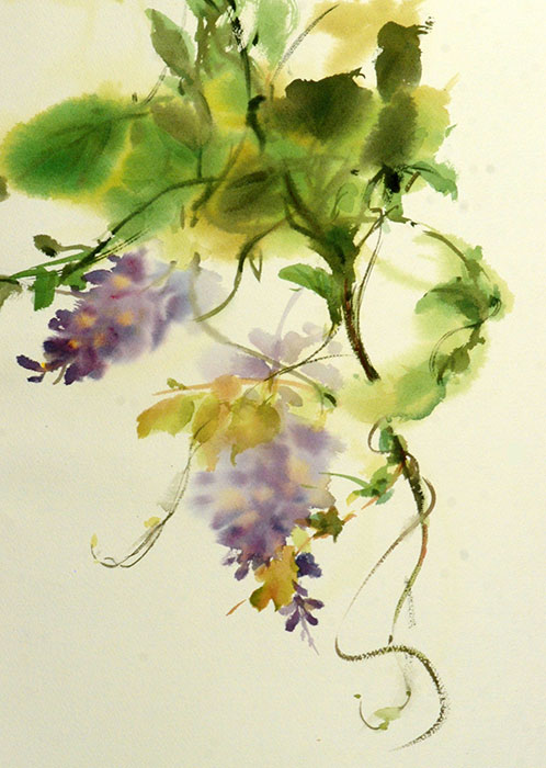 498x700 Watercolor Floras - Grape Vine Watercolor