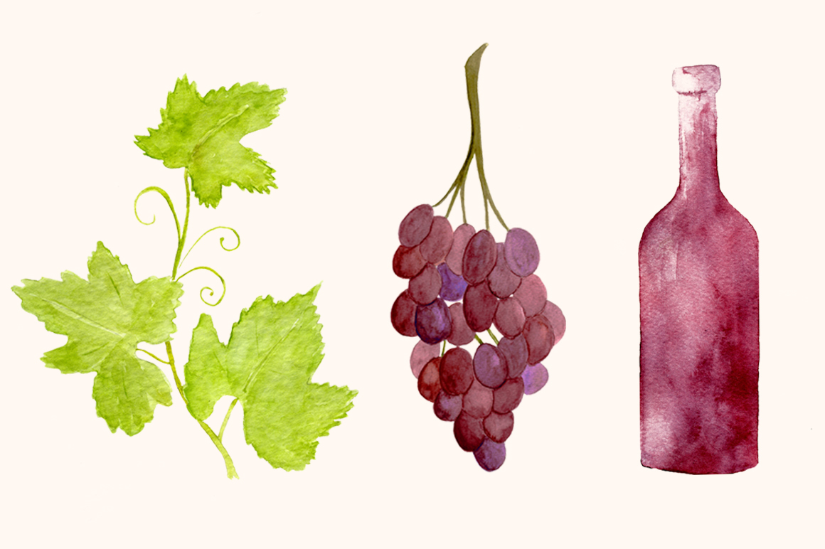 1160x772 Wine Watercolor Elements + Bonus! By Teresa - Grape Vine Watercolor