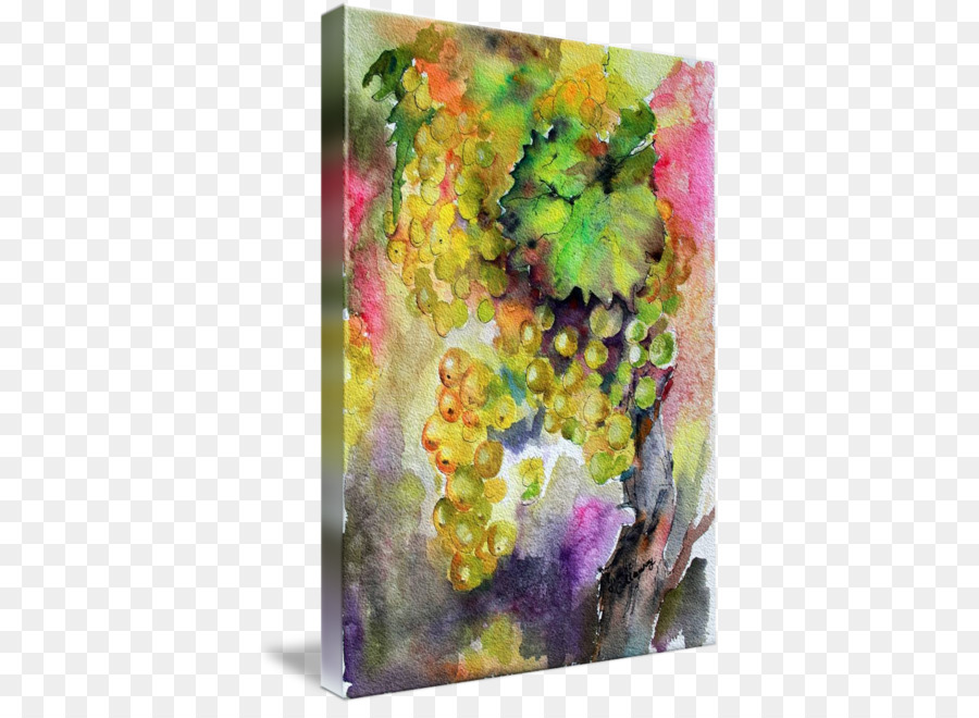 900x660 Download Common Grape Vine Watercolor Painting White Wine - Grape Vine Watercolor