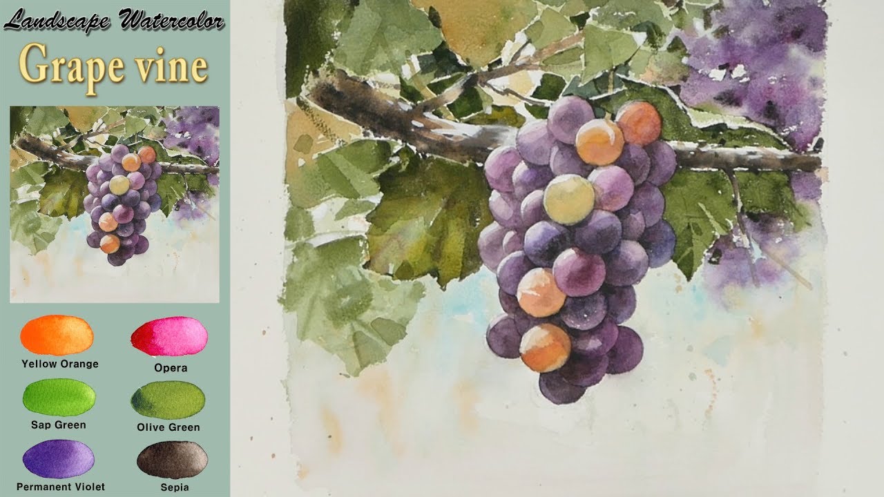 1280x720 Grape Vine - Grape Vine Watercolor