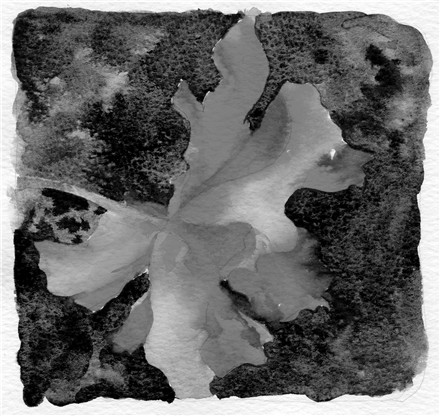 440x416 May 2010 Creative Color - Grayscale Watercolor