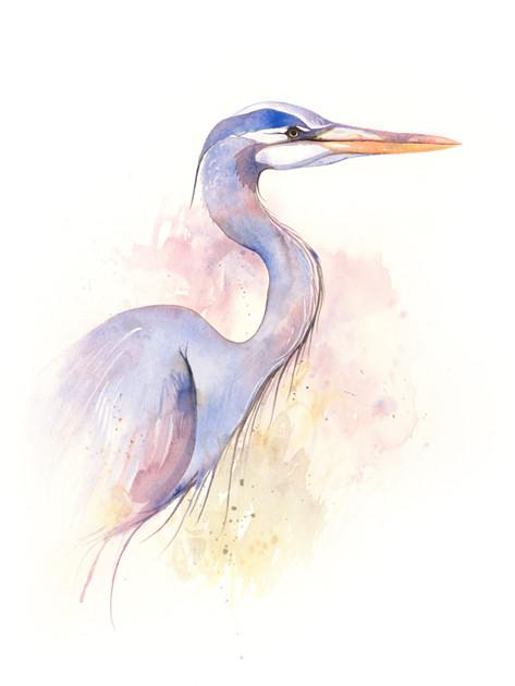 473x630 Great Blue Heron Print Ashley Prejoles Art - Great Blue Heron Watercolor