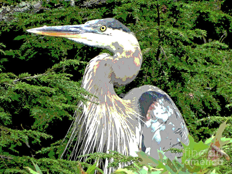 900x675 Great Blue Heron In Watercolor Photograph By Karen Velsor - Great Blue Heron Watercolor