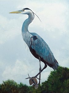 223x300 Great Blue Heron Painting By Marsha Friedman - Great Blue Heron Watercolor