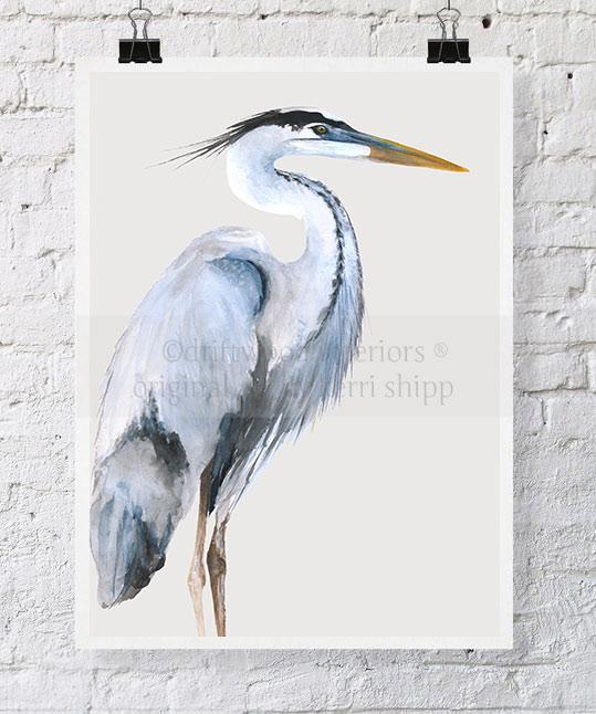 539x646 Great Blue Heron Watercolour Wall Art Print By Kerri Shipp - Great Blue Heron Watercolor