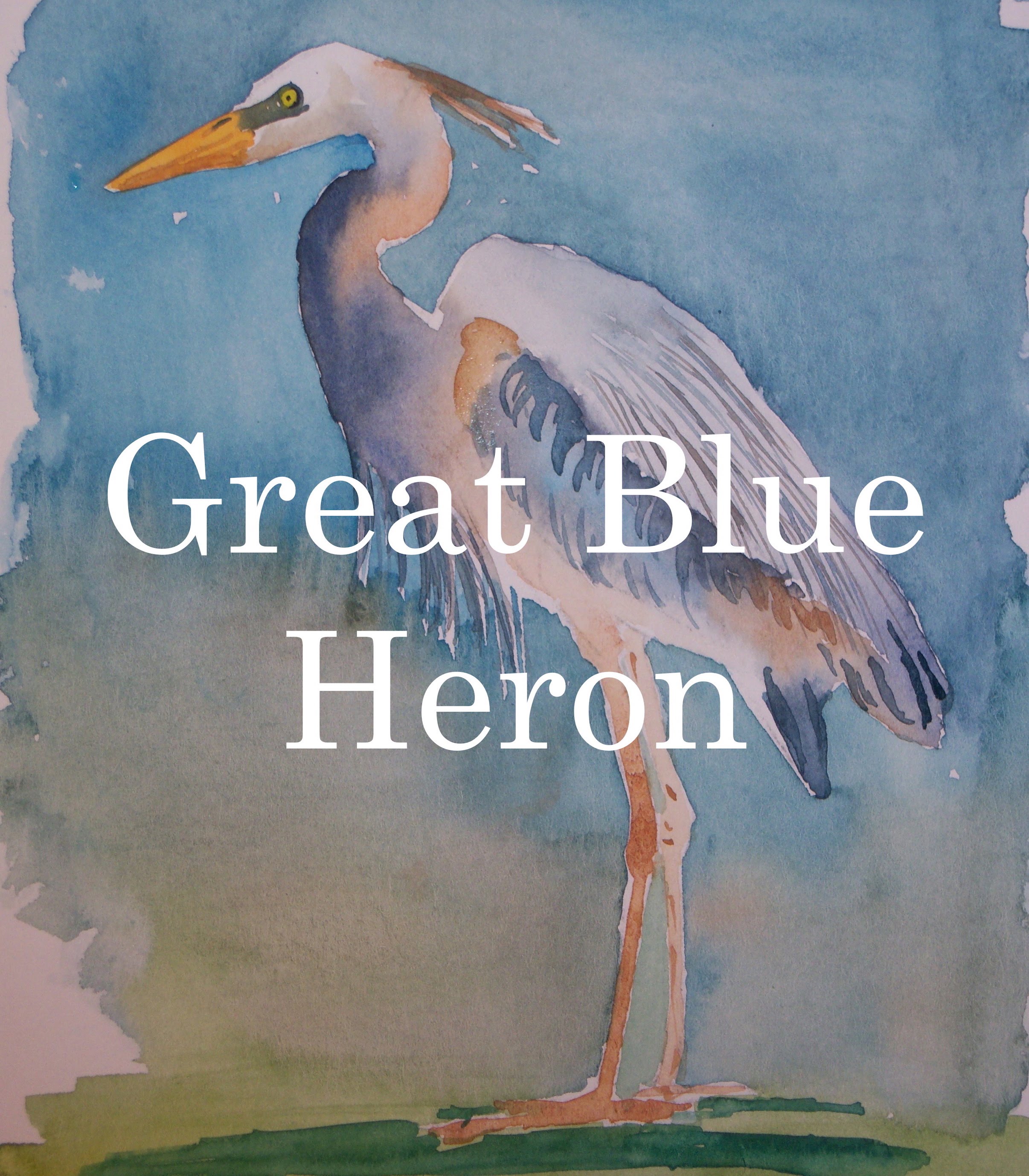 2412x2758 How To Paint A Bird In Watercolour Watercolor Great Blue Heron - Great Blue Heron Watercolor