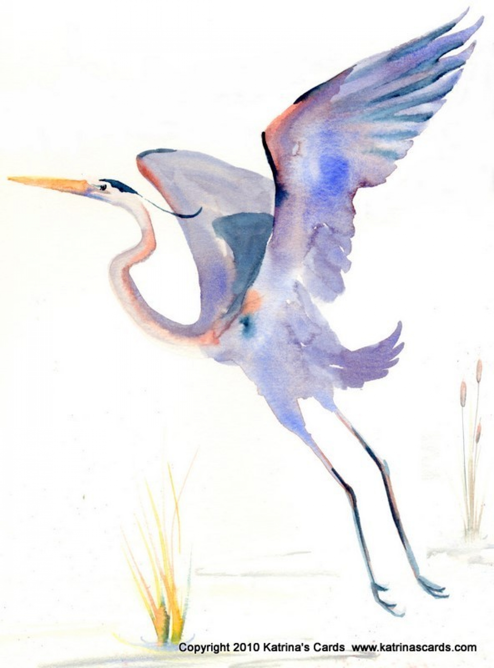 1600x2162 Note Card Great Blue Heron Ii 5 Cards And Envelopes Gift Set - Great Blue Heron Watercolor