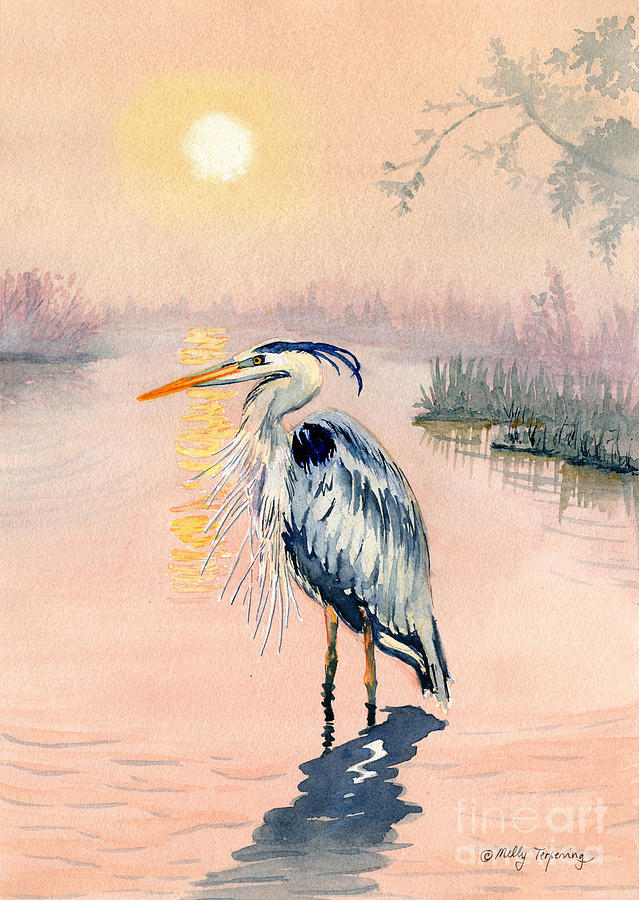 639x900 Great Blue Heron At Sunset Painting By Melly Terpening - Great Blue Heron Watercolor