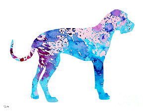 300x225 Great Dane 4 Painting By Watercolor Girl - Great Dane Watercolor