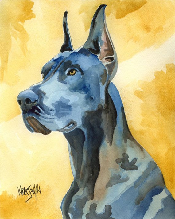 570x713 Great Dane Art Print Of Original Watercolor Painting 8x10 - Great Dane Watercolor