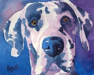 300x240 Great Dane Harlequin Watercolor Portrait 051205 - Great Dane Watercolor