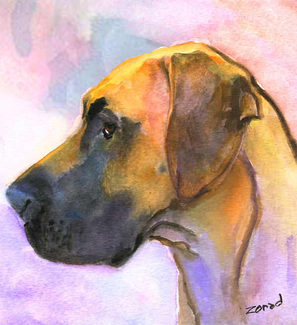 600x657 Great Dane Painting By Mary Jo Zorad - Great Dane Watercolor
