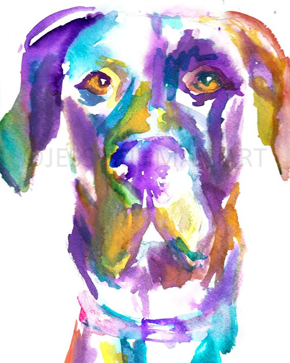 570x713 Great Dane Watercolor Painting Print Dog Painting Dog Etsy - Great Dane Watercolor