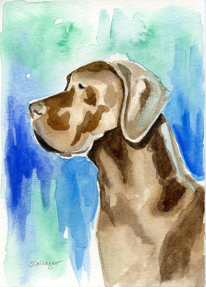 720x1000 Great Dane Watercolor By Clarityart Redbubble - Great Dane Watercolor