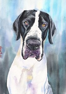 212x300 Great Dane Watercolor Print Of The Original Watercolor Painting Ebay - Great Dane Watercolor