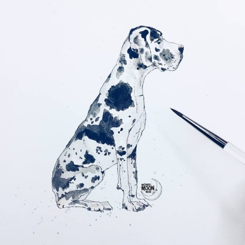 500x500 Great Dane - Great Dane Watercolor