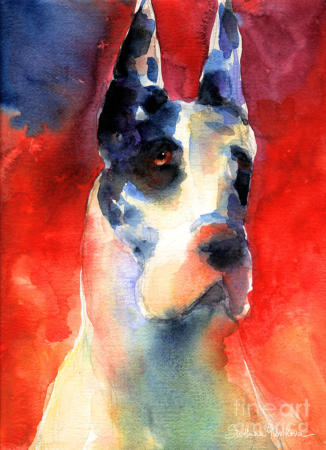 653x900 Harlequin Great Dane Watercolor Painting Painting By Svetlana Novikova - Great Dane Watercolor