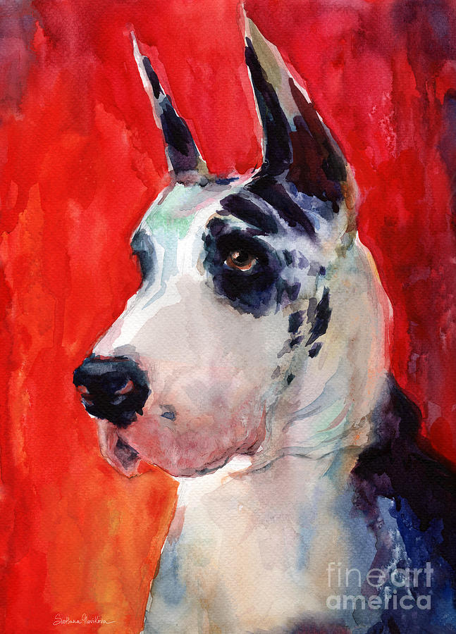 647x900 Watercolor Harlequin Great Dane Dog Portrait 2 Painting By - Great Dane Watercolor
