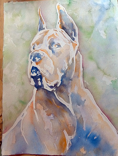 457x600 Watercolor Archives - Great Dane Watercolor