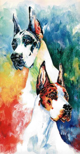337x650 Fire And Ice Great Dane By Kathleen Sepulveda - Great Dane Watercolor