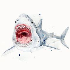 236x236 Great White Shark Watercolor Painting By Tara Tominaga. Look - Great White Shark Watercolor
