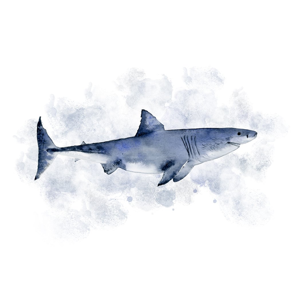 1024x1024 Great White Shark Nursery Art Tiny Toes Design - Great White Shark Watercolor