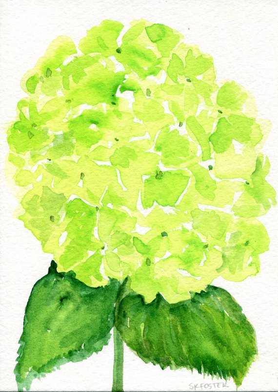 570x802 Gallery Lime Green Flowers, - Green Watercolor Flowers