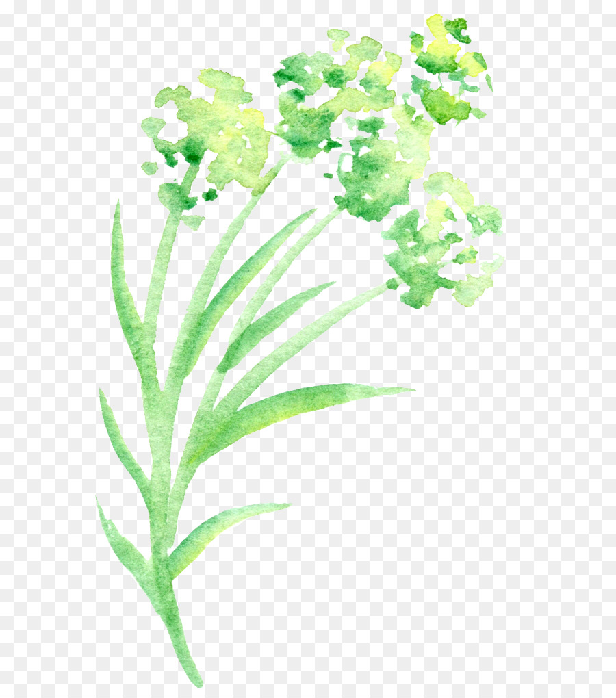 900x1020 Green Petal Watercolor Painting Flower - Green Watercolor Flowers