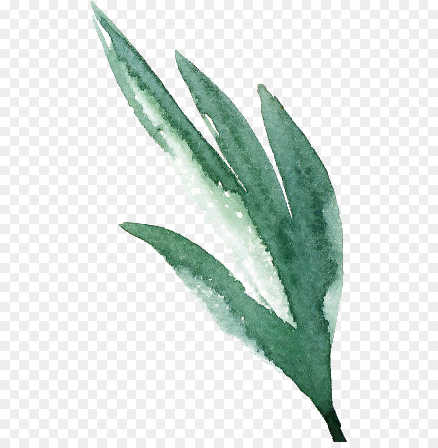 900x920 Watercolor Painting Watercolor Flowers - Green Watercolor Flowers