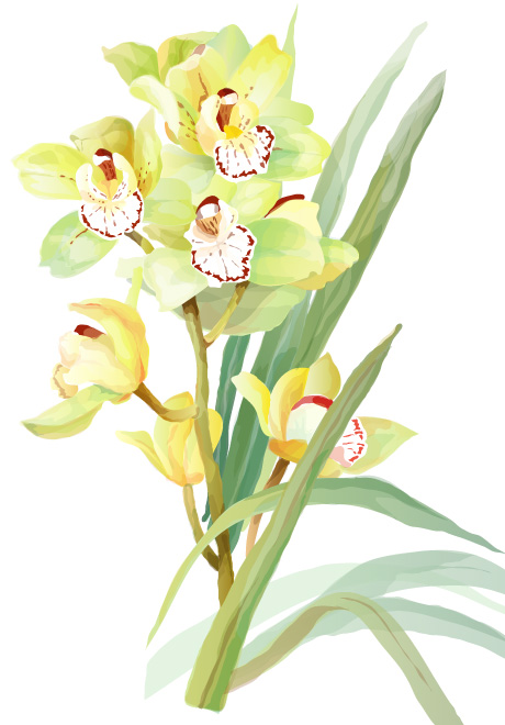 460x660 7 Elegant Watercolor Flowers Vector Free Vector 4vector - Green Watercolor Flowers