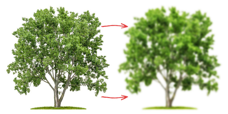 800x400 How To Paint Trees With Watercolor - Green Watercolor Painting