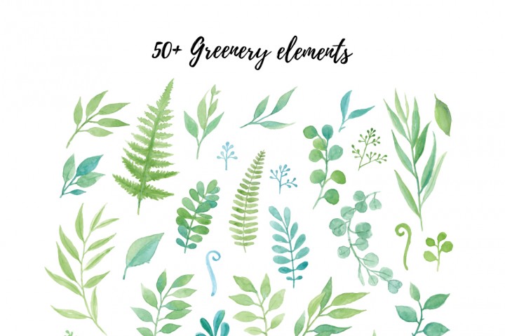 720x479 Watercolor Greenery Collection By Sharkampcroc Co. - Greenery Watercolor