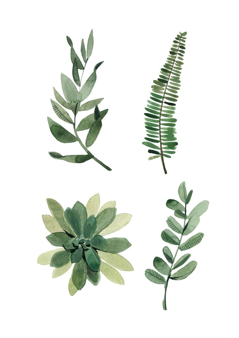 827x1168 Greenery - Greenery Watercolor