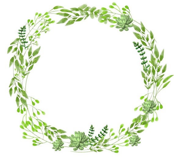 570x529 Greenery Clipart Succulents Clipart Watercolor Wreath Etsy - Greenery Watercolor