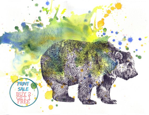 570x438 Grizzly Bear Art Animal Watercolor Painting Print Unique Etsy - Grizzly Bear Watercolor