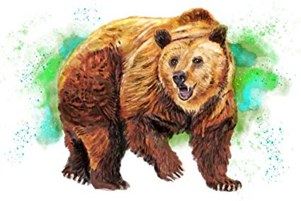 425x283 Grizzly Bear - Grizzly Bear Watercolor