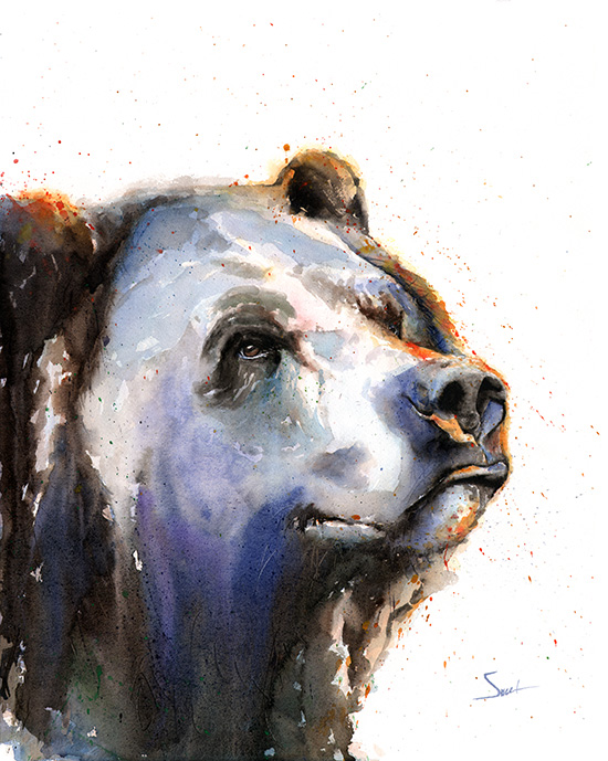 550x689 Grizzly Bear Watercolor Print Watercolor Animal Paintings - Grizzly Bear Watercolor