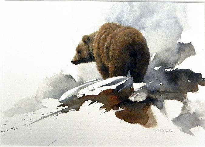 675x483 Grizzly Bear - Grizzly Bear Watercolor
