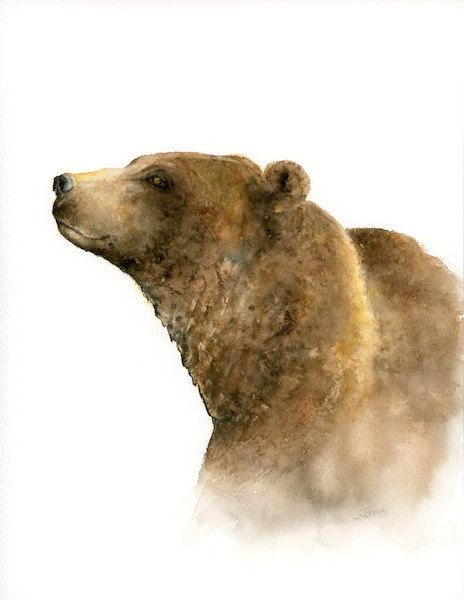 464x600 Grizzly Bear Print Of Watercolor Painting, Brown Bear Forest - Grizzly Bear Watercolor