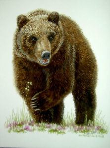 222x300 Original Watercolor Grizzly Bear Carnivore Wildlife Art Sally - Grizzly Bear Watercolor