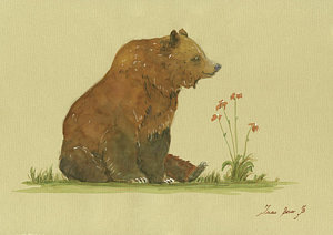 300x212 Bear Watercolor Paintings Fine Art America - Grizzly Bear Watercolor
