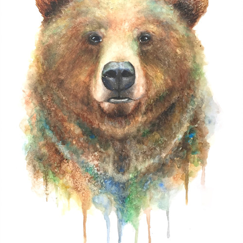 500x500 Colors Of The Wild Watercolor Originals - Grizzly Bear Watercolor