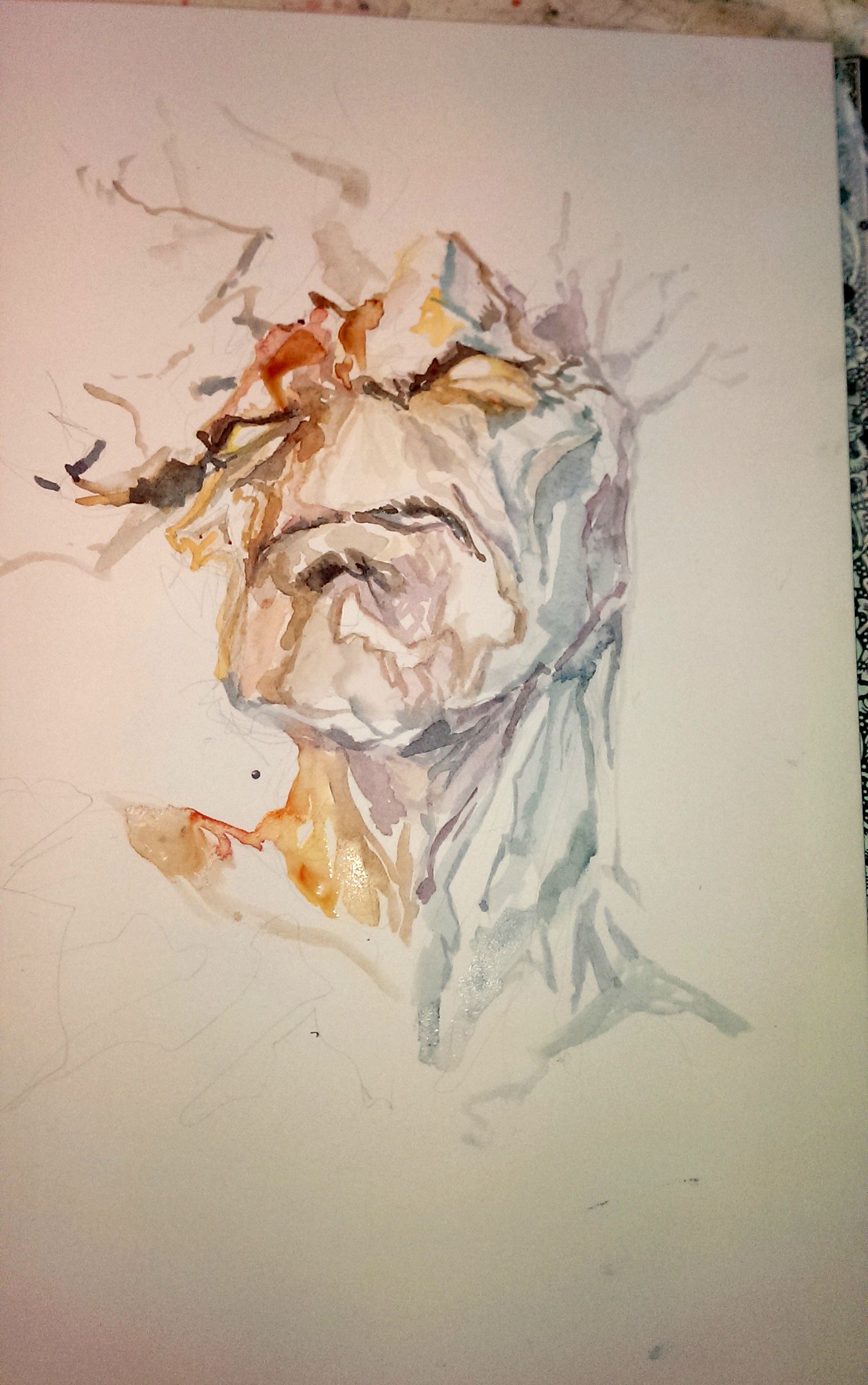 1520x2424 Watercolor Process - Groot Watercolor