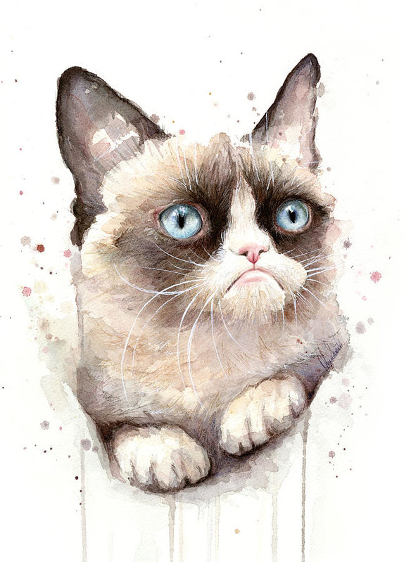 584x799 Grumpy Cat Watercolor Art Print By Olga Shvartsur - Grumpy Cat Watercolor